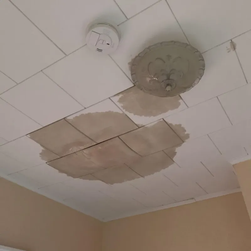 Ceiling Water Damage Repair in Shutesbury, MA