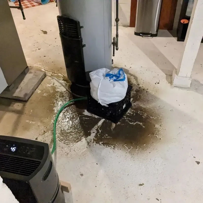 Sewage Backup Cleanup Service in Shutesbury, MA